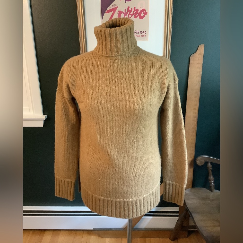 Everlane Cloud Camel Turtleneck Sweater